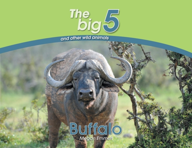 Buffalo : The Big 5 and Other Wild Animals, Paperback / softback Book