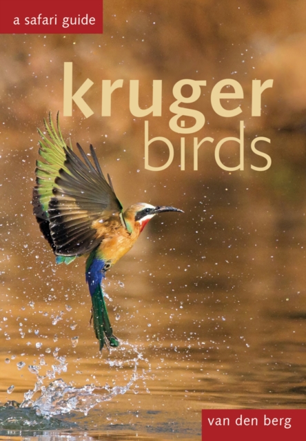 Kruger Birds : A Safari Guide, Hardback Book