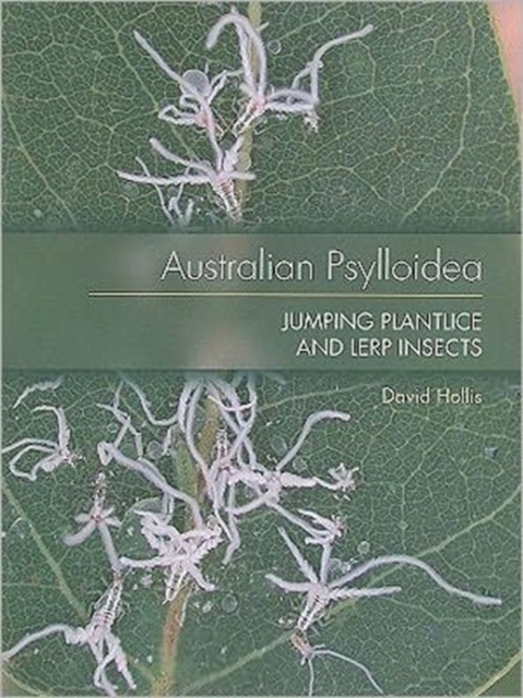 Australian Psylloidea : Jumping Plantlice and Lerp Insects, Paperback / softback Book