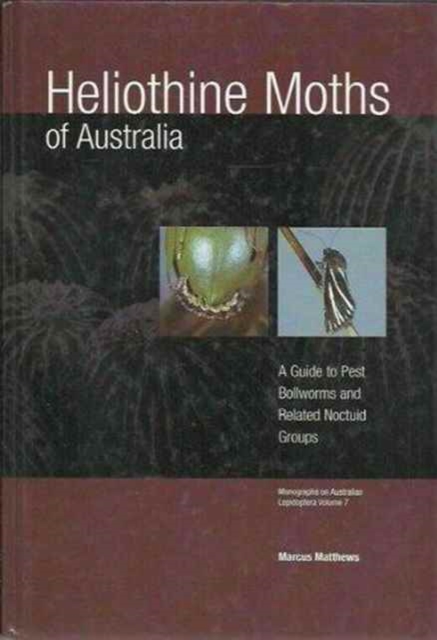 Heliothine Moths of Australia, Paperback / softback Book