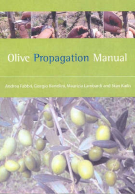 Olive Propagation Manual, Paperback / softback Book