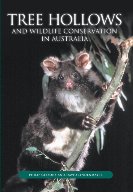 Tree Hollows and Wildlife Conservation in Australia, PDF eBook
