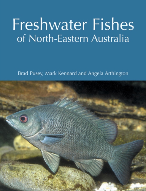 Freshwater Fishes of North-Eastern Australia, PDF eBook
