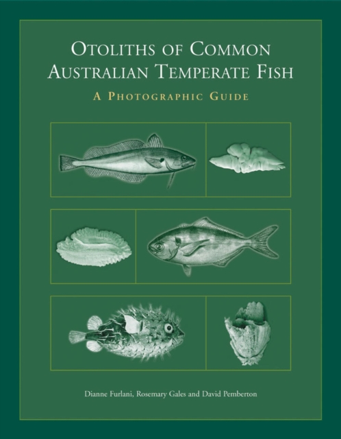 Otoliths of Common Australian Temperate Fish : a photographic atlas, Hardback Book