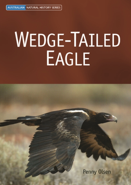 Wedge-tailed Eagle, PDF eBook