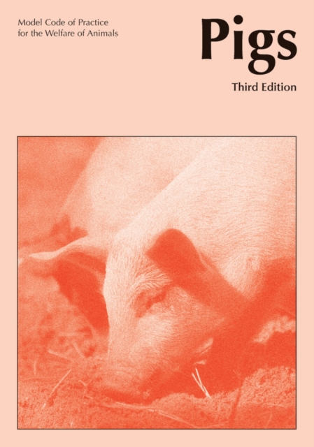 Model Codes of Practice for the Welfare of Animals : Pigs 3rd edition PISC Technical Report 92, Paperback / softback Book