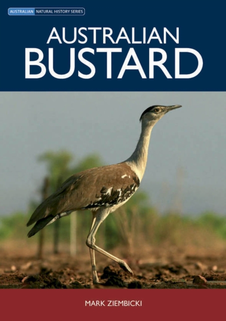 Australian Bustard, Paperback / softback Book