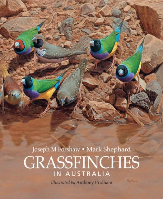 Grassfinches in Australia, Hardback Book