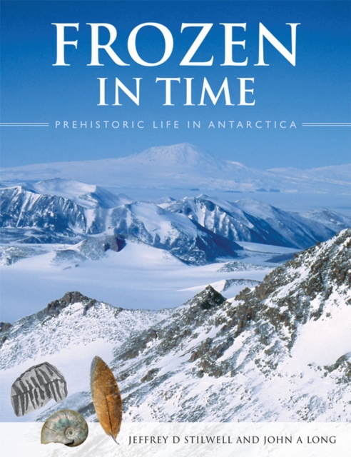 Frozen in Time, Hardback Book