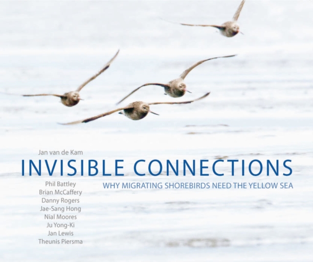 Invisible Connections : Why Migrating Shorebirds Need the Yellow Sea, Paperback / softback Book