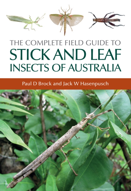 The Complete Field Guide to Stick and Leaf Insects of Australia, PDF eBook