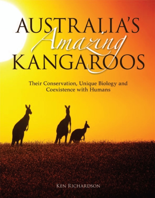 Australia's Amazing Kangaroos : Their Conservation, Unique Biology and Coexistence with Humans, Paperback / softback Book