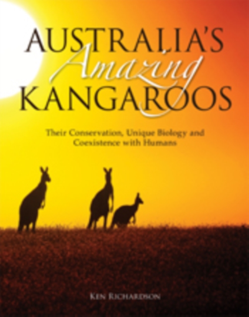 Australia's Amazing Kangaroos : Their Conservation, Unique Biology and Coexistence with Humans, PDF eBook