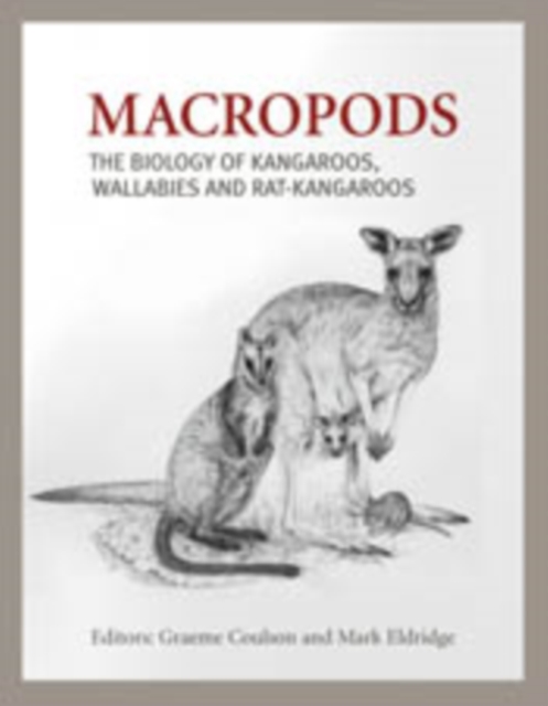 Macropods : The Biology of Kangaroos, Wallabies and Rat-kangaroos, PDF eBook