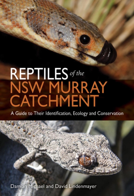 Reptiles of the NSW Murray Catchment : A Guide to Their Identification, Ecology and Conservation, Paperback / softback Book