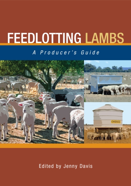 Feedlotting Lambs : A Producer's Guide, PDF eBook
