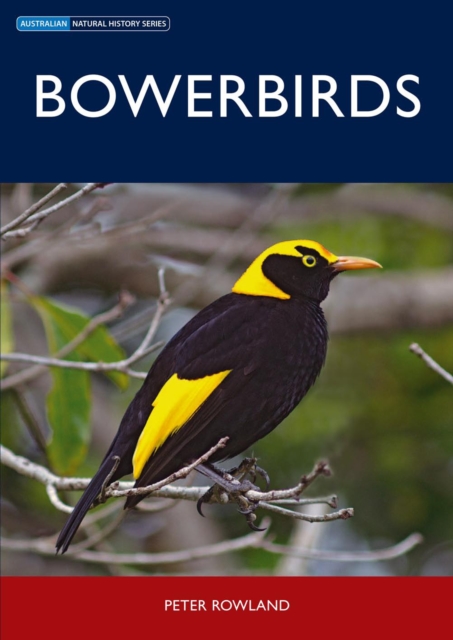 Bowerbirds, EPUB eBook