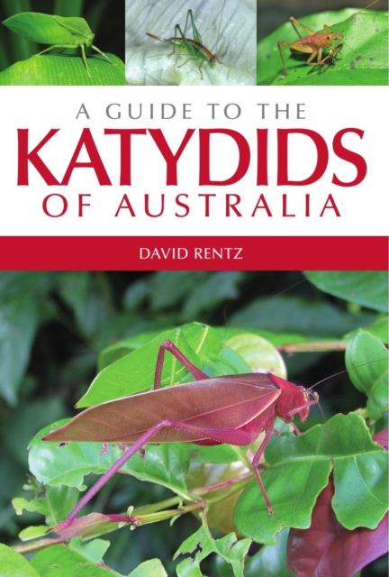 A Guide to the Katydids of Australia, PDF eBook
