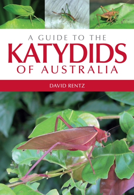 A Guide to the Katydids of Australia, EPUB eBook