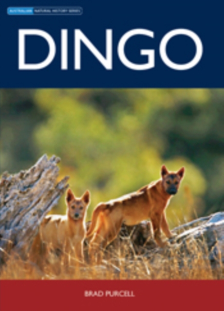 Dingo, EPUB eBook