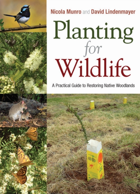 Planting for Wildlife : A Practical Guide to Restoring Native Woodlands, Paperback / softback Book