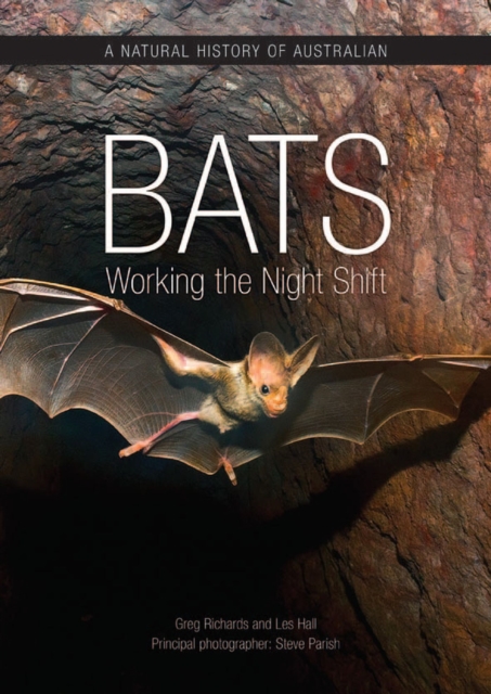 A Natural History of Australian Bats : Working the Night Shift, Hardback Book