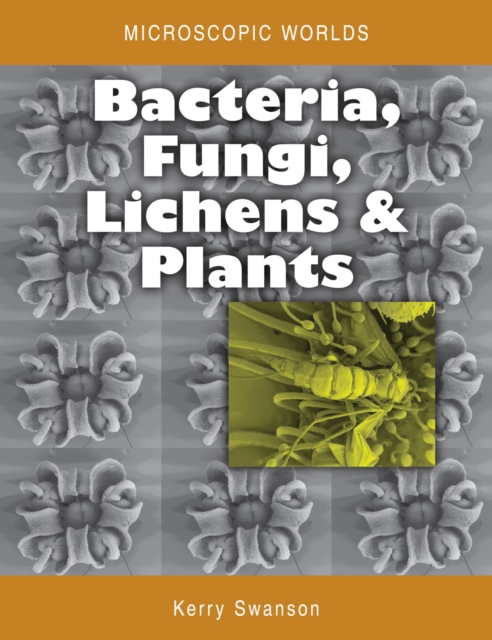 Microscopic Worlds Volume 3 : Bacteria Fungi Lichens and Plants, Paperback / softback Book