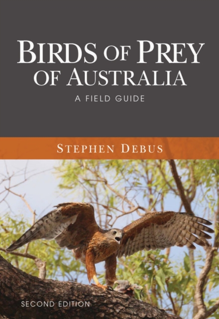 Birds of Prey of Australia : A Field Guide, Paperback / softback Book