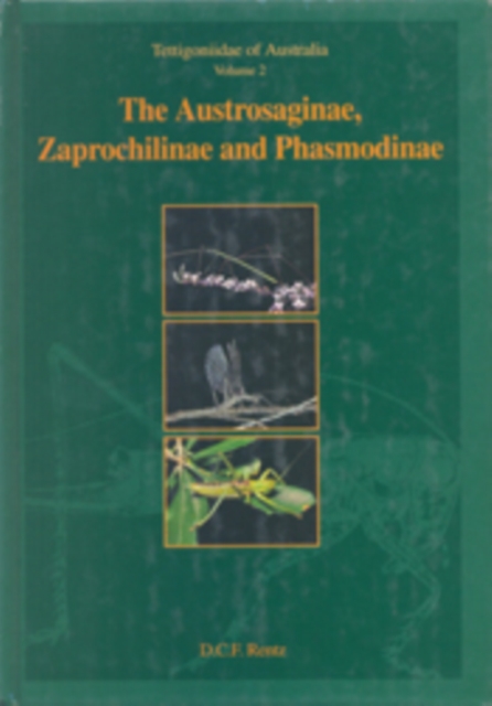 Tettigoniidae of Australia Volume 2 : Austrosaginae, Zaprochilinae and Phasmodinae, PDF eBook