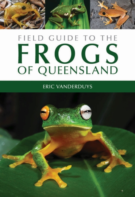 Field Guide to the Frogs of Queensland, Paperback / softback Book