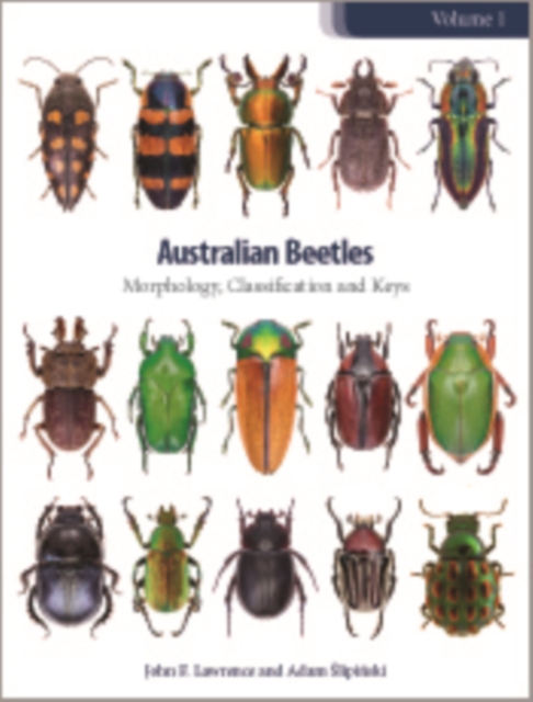 Australian Beetles Volume 1 : Morphology, Classification and Keys, EPUB eBook