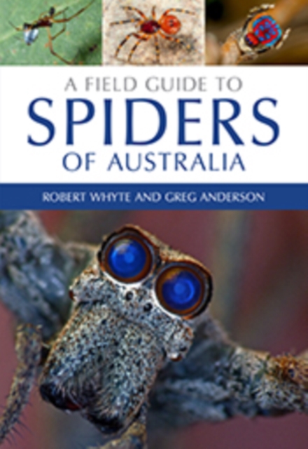 A Field Guide to Spiders of Australia, EPUB eBook