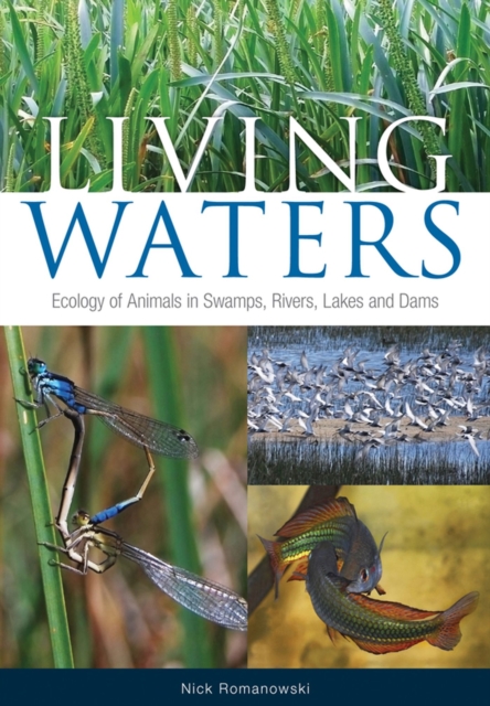 Living Waters : Ecology of Animals in Swamps, Rivers, Lakes and Dams, Paperback / softback Book