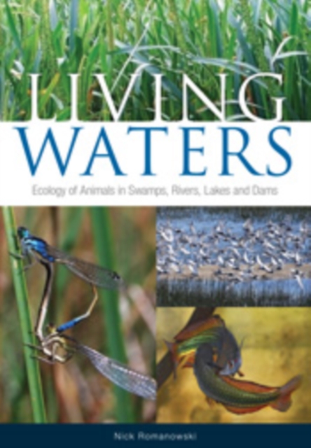 Living Waters : Ecology of Animals in Swamps, Rivers, Lakes and Dams, PDF eBook