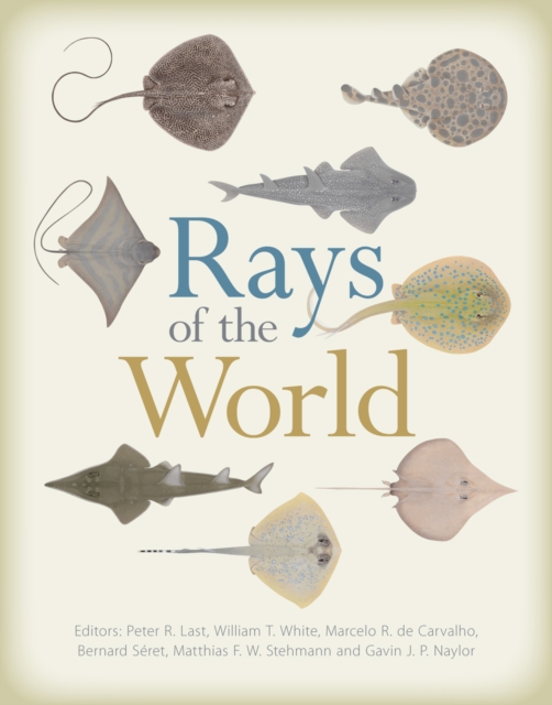 Rays of the World, EPUB eBook