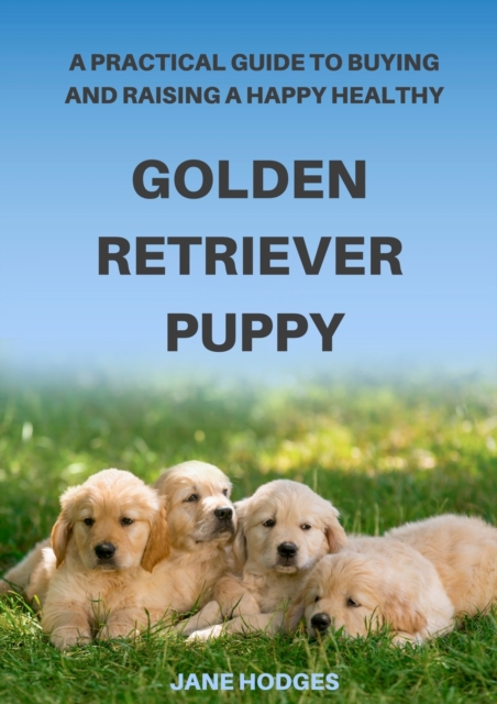A Practical Guide to Buying and Raising A Happy Healthy Golden Retriever Puppy, Paperback / softback Book