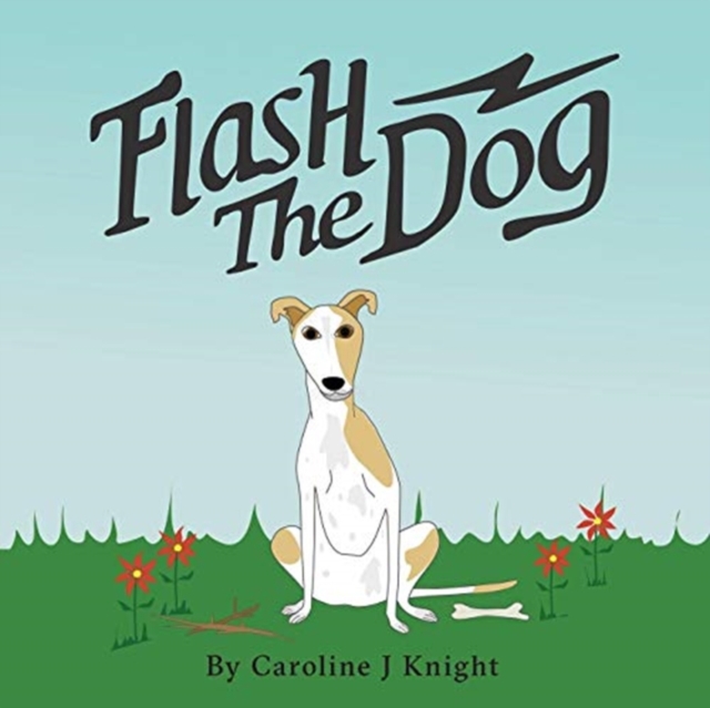 Flash the Dog, Paperback / softback Book