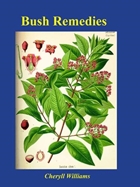 Bush Remedies, Paperback / softback Book