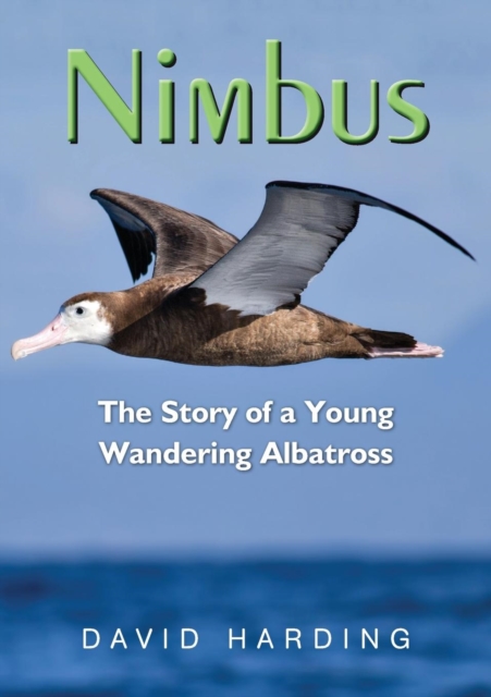Nimbus : The Story of a Young Wandering Albatross, Paperback / softback Book