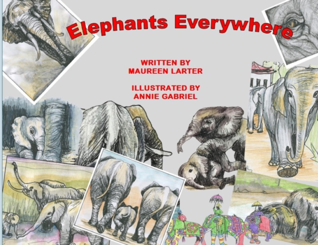 Elephants Everywhere, Paperback / softback Book