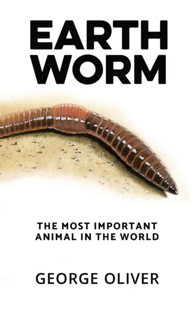 Earthworm : The Most Important Animal in the World, Paperback / softback Book