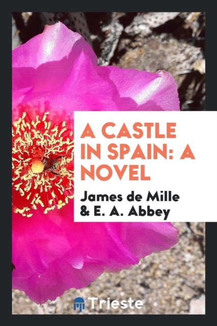A Castle in Spain, Paperback Book