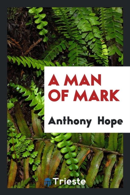 A Man of Mark, Paperback Book
