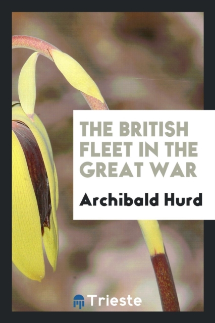The British Fleet in the Great War, Paperback Book