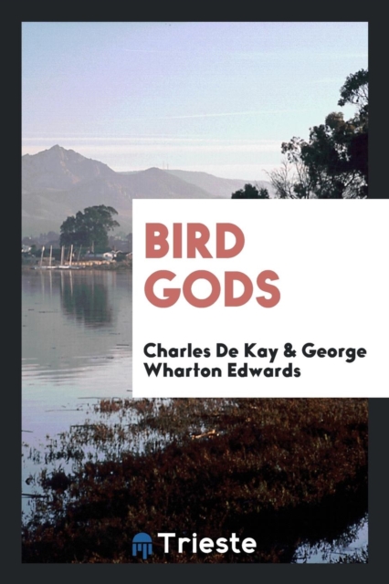 Bird Gods, Paperback Book