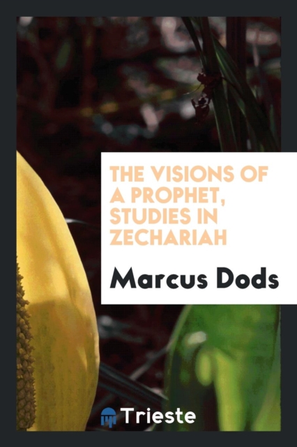 The Visions of a Prophet : Studies in Zechariah, Paperback Book