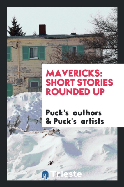 Mavericks : Short Stories Rounded Up, Paperback Book