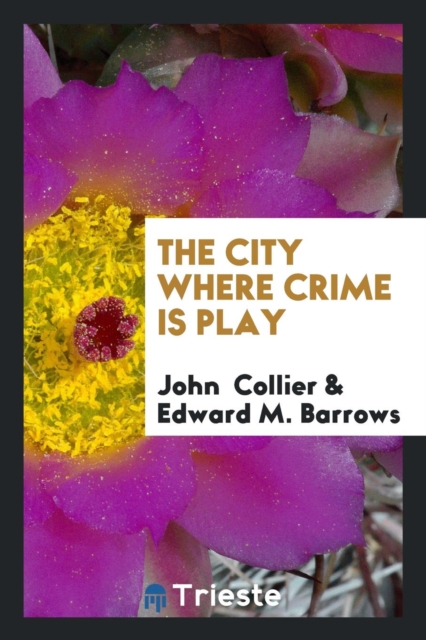 The City Where Crime Is Play, Paperback Book