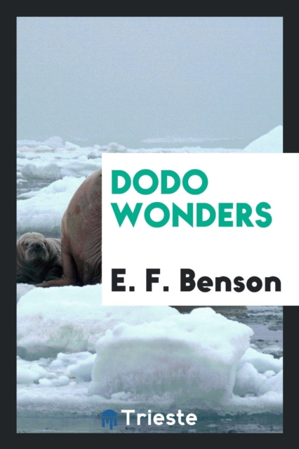 Dodo Wonders, Paperback Book