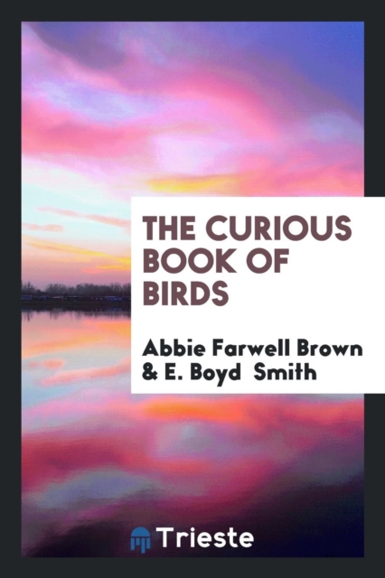 The Curious Book of Birds, Paperback Book